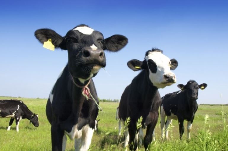 Fourrage - Eurofins Scientific AG