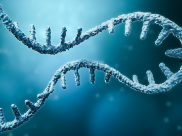 DNA and RNA strands, emphasising the scientific research and analysis involved in biologics testing, highlighting the importance of molecular biology in the company’s services.