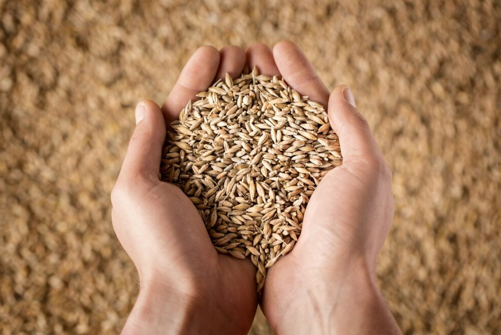 Révision de l'ordonnance (contaminants)